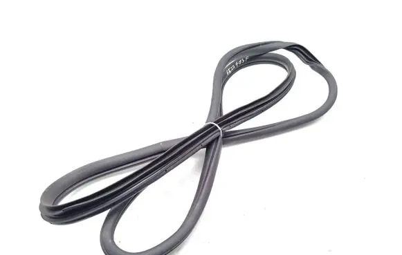Hyundai Kona I Front door rubber seal 