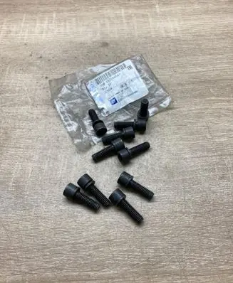 Saab 9-3 Ver2 Nuts/bolts 55204664 10PCS