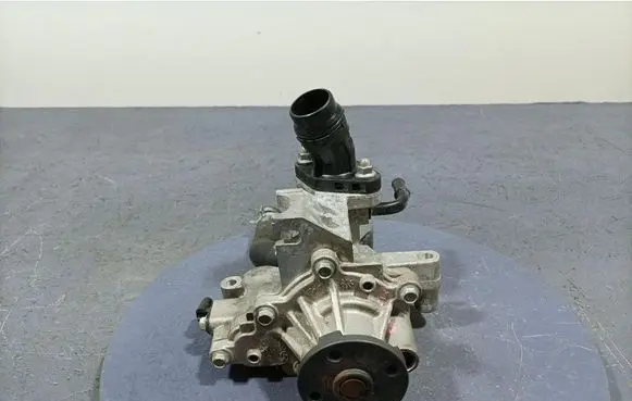 Galloper Exceed Water pump 