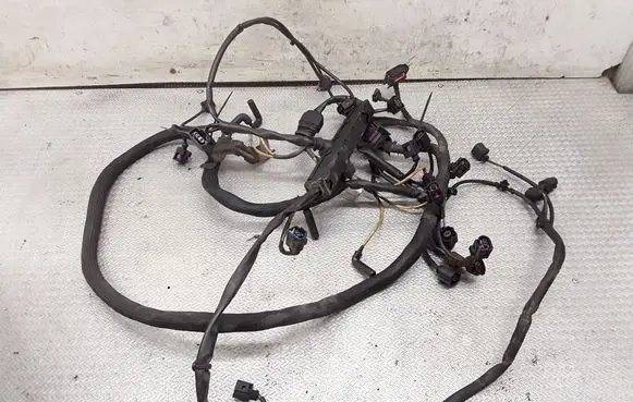 Volkswagen Crafter Engine installation wiring loom 9065401109