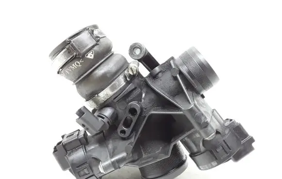 Citroen C5 Throttle valve 9655971780