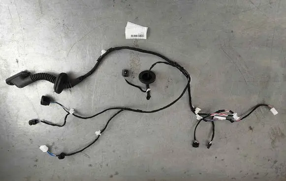 Toyota C-HR I Rear door wiring loom 82153F4210F