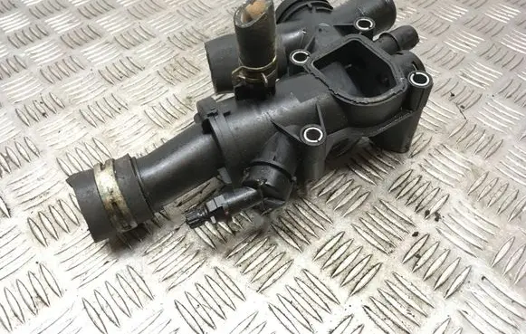 Thermostat/thermostat housing