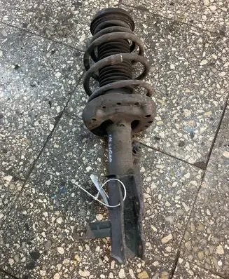 Opel Insignia A Front shock absorber/damper