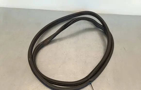 BMW X1 F48 F49 Front door rubber seal