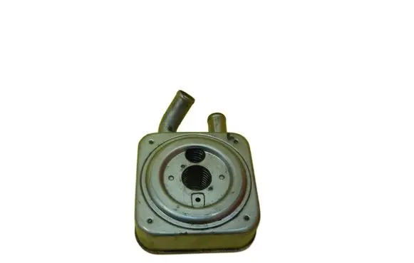 Hyundai Santa Fe Engine oil radiator D4EB
