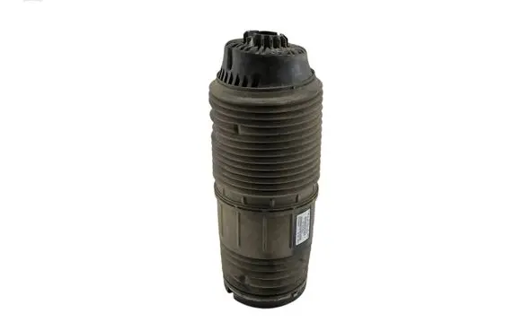 Porsche Panamera (971) Shock absorber/damper/air suspension 971616026E