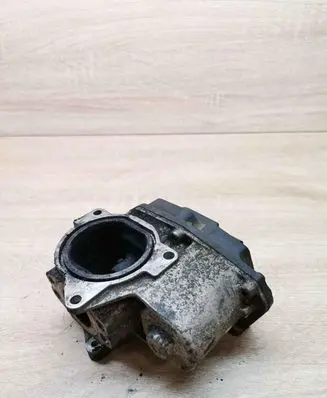 Volkswagen Tiguan EGR valve 03G131501 216035358