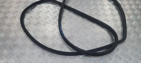 Infiniti Q60 Rubber seal front coupe door PU11102