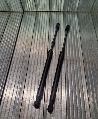 Tailgate strut