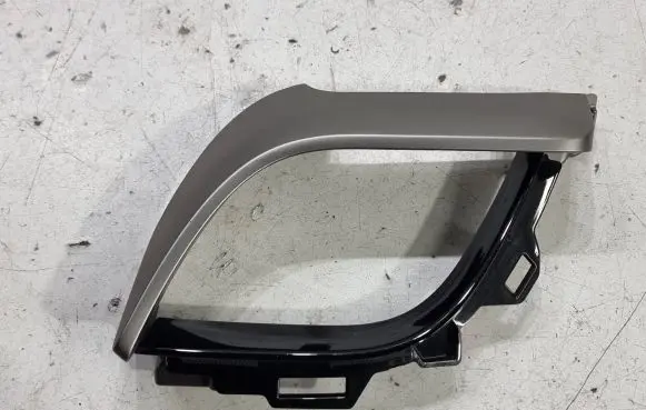 Toyota C-HR I Panel trim 55012F4010
