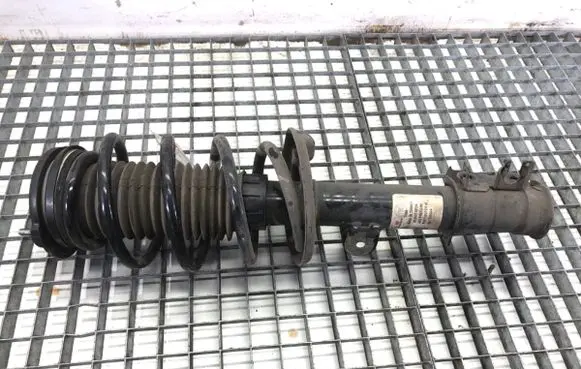 Fiat Doblo Front shock absorber/damper