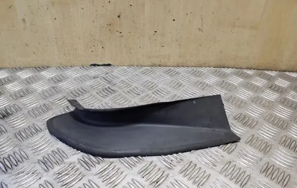 Rear/tail light trim molding