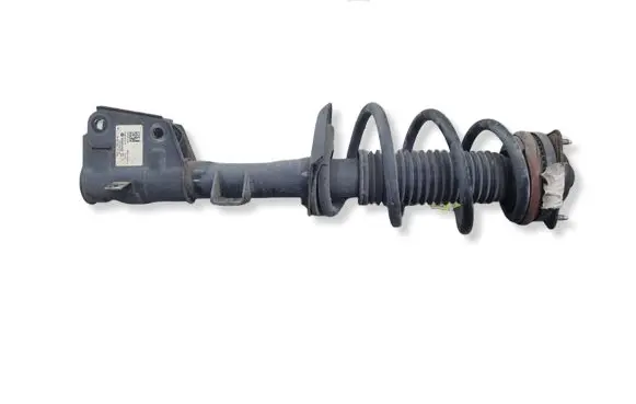 Chrysler Pacifica Front shock absorber with coil spring P68248728AD 167161 824904011574