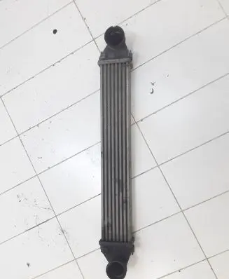 Mercedes-Benz A W169 Intercooler radiator 1695000000