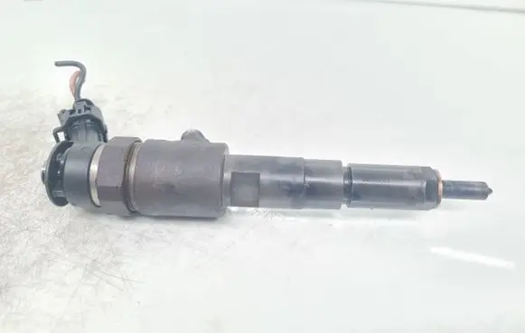 Peugeot 307 Fuel injector 0445110075 9641496180