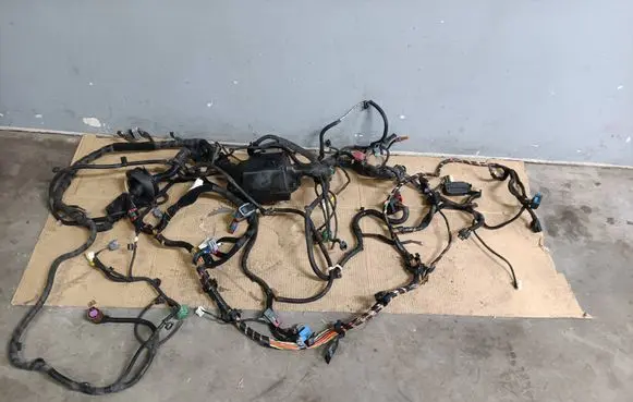 Fiat 500L Wiring harness 00519558870 FG2F004122
