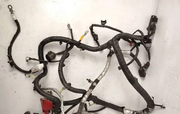 Engine installation wiring loom