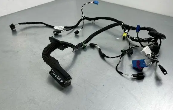 Volkswagen Tiguan Allspace Front door wiring loom 5NB971162CB 71F9101