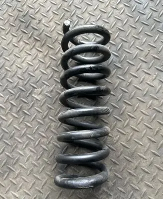 Rear coil spring