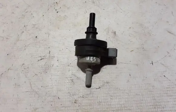 Renault Megane III Valve 8200248821