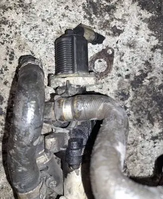EGR valve