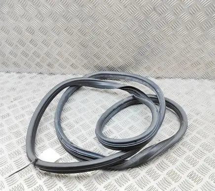 Fiat 500E Rubber seal front door (on door) 52211254