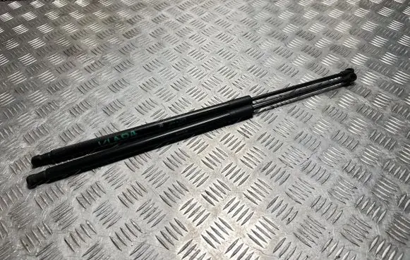 Opel Grandland X Tailgate strut DG24344