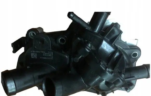Citroen C3 Thermostat/thermostat housing 1014087210