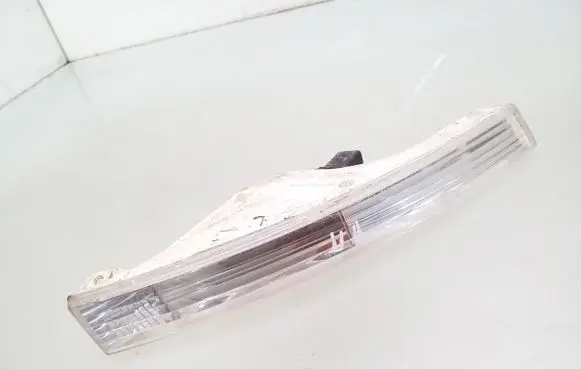 Volkswagen PASSAT B6 Front indicator light 3C0953042H