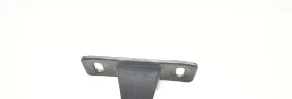 Rear door check strap stopper
