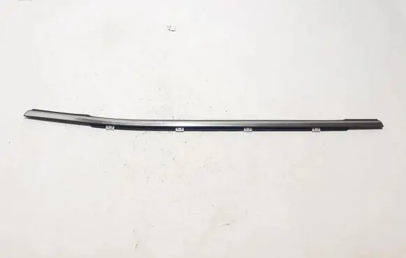 Rear door trim (molding)