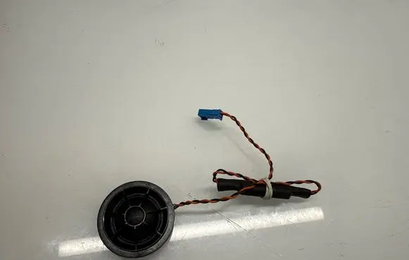 Front door high frequency speaker