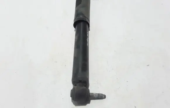 Renault Scenic IV - Grand scenic IV Rear shock absorber/damper 562102469R