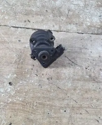 Fiat Doblo Power steering pump