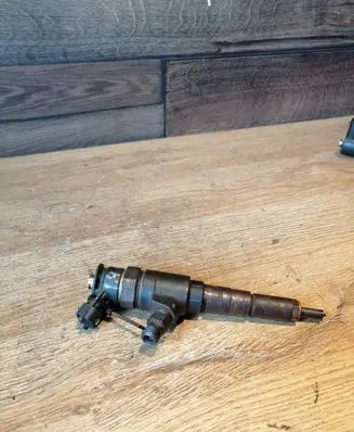Citroen C3 Fuel injector