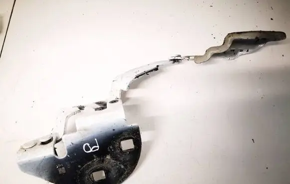 Tesla Model 3 Engine bonnet/hood hinges 161334600A