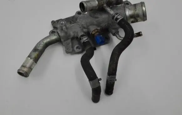 Thermostat/thermostat housing