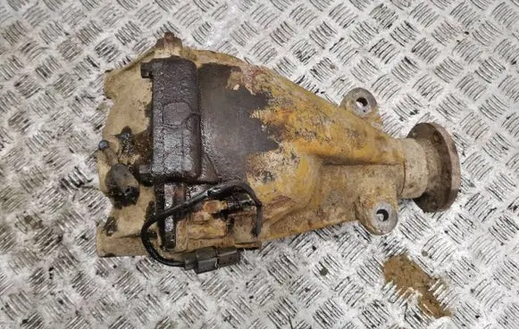 Mitsubishi Pajero Rear differential