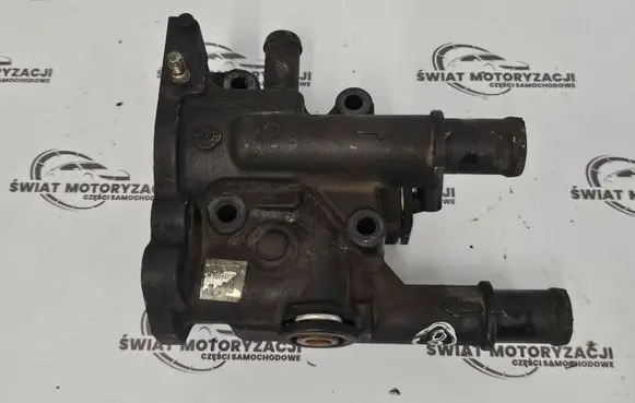 Thermostat/thermostat housing