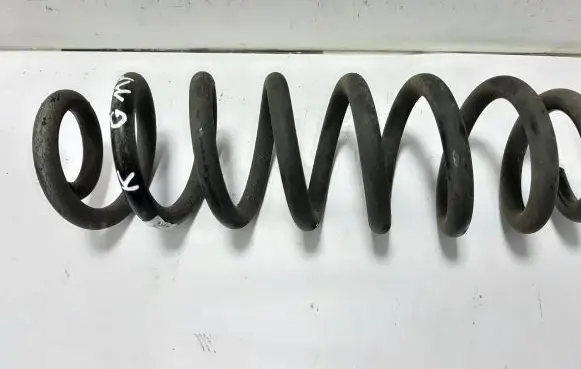 Opel Insignia B Rear coil spring AA6K