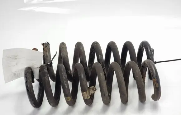 Rear coil spring