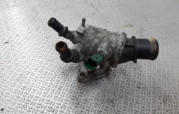 Thermostat/thermostat housing