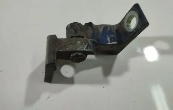 Rear door lower hinge