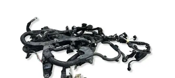 Lexus ES 300h (7th Gen) Engine installation wiring loom 1910110023 2133F20A