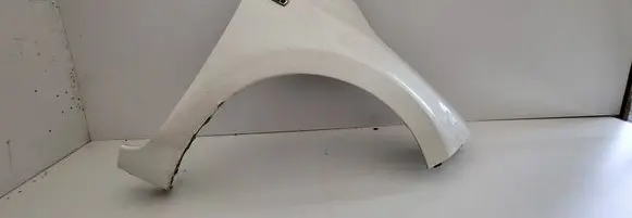 Nissan Leaf I (ZE0) Fender
