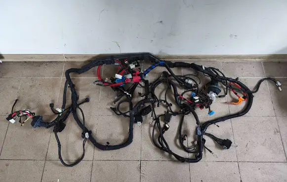 Tesla Model Y Other wiring loom P248905801B