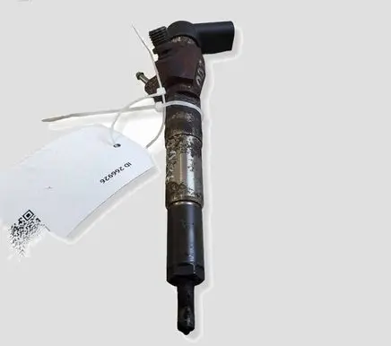 Nissan Juke I F15 Fuel injector H8200704191 166008052R