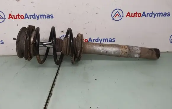 BMW 5 E39 Front shock absorber/damper 1096858 31311096858 109685