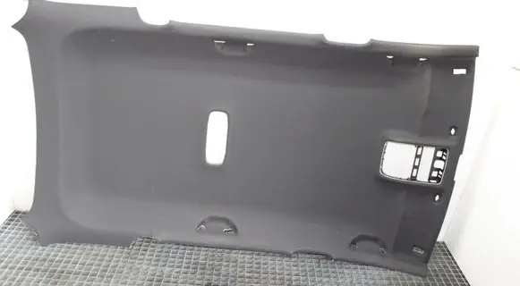 Skoda Octavia Mk3 (5E) Headlining 